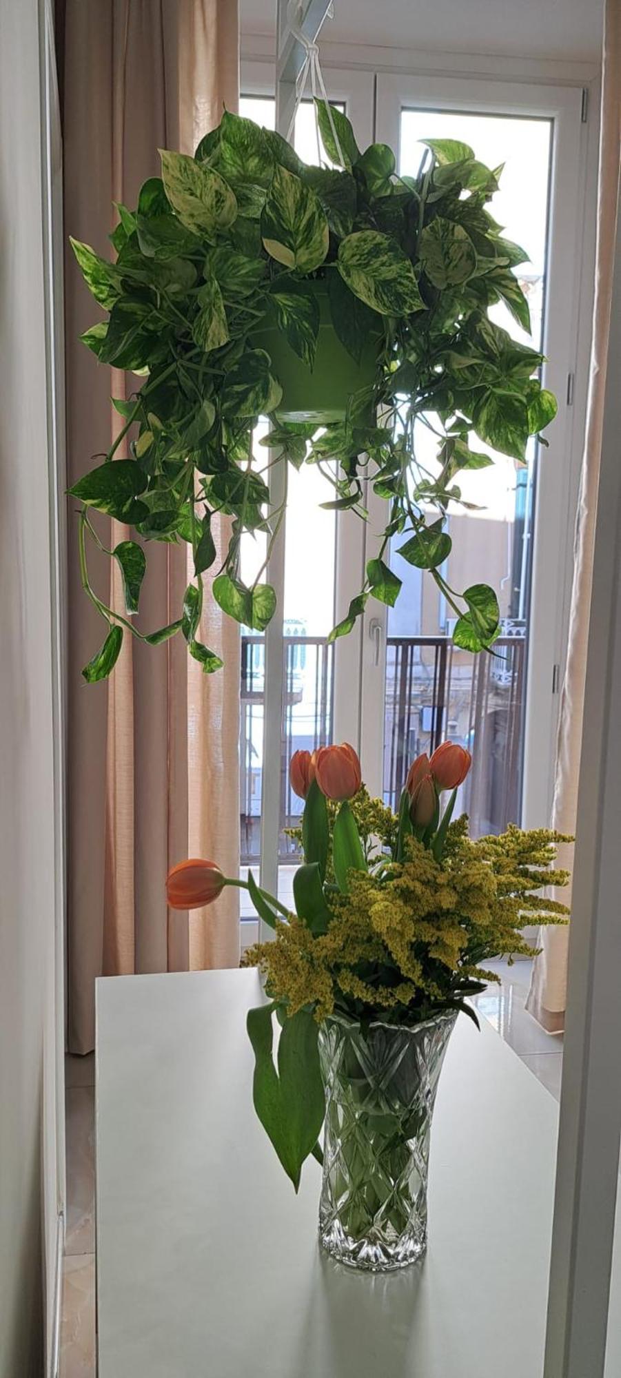 B&B Al Corso Pagani Eksteriør bilde